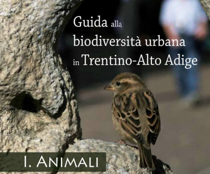 Guida alla biodiversità urbana in Trentino Alto Adige